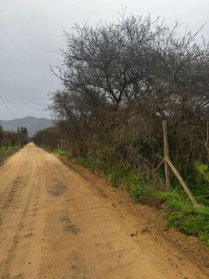 parcelas-10000-m2-miraflores-curacavi-planas-r-4