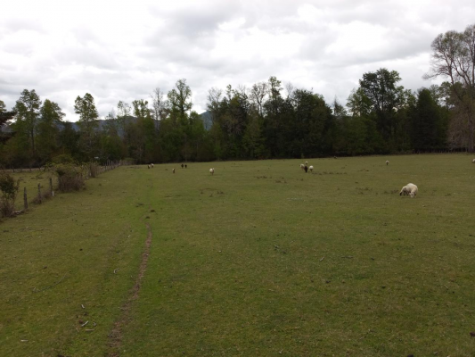 parcelas-privadas-y-seguras-5000mts-3