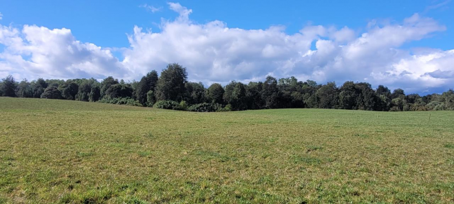 venta-parcela-rol-propio-region-de-los-lagos-4
