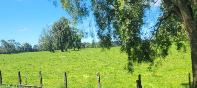 venta-parcela-rol-propio-region-de-los-lagos-9