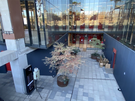 -21