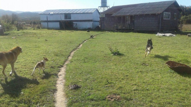 oportunidad-,-ex-escuela-en-venta-en-lacomuna--6