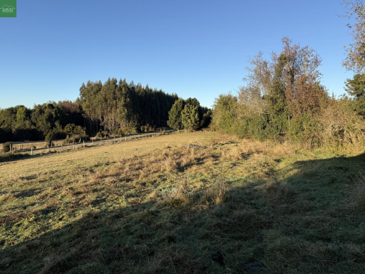 casa-en-parcela-de-5000-mts-2-en-fresia-6