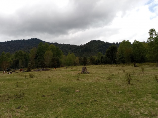 parcelas-cudico-15-km-de-lican-ray,-lindo-y-tra-6