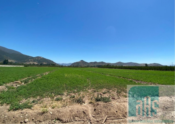 parcelas-de-agrado-sector-vina-casa-silva-san-f-3