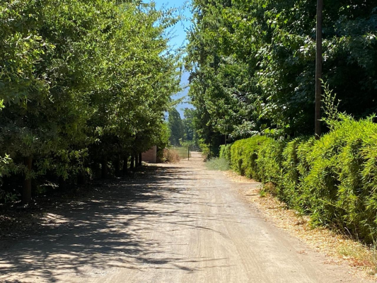 parcelas-de-agrado-sector-vina-casa-silva-san-f-6