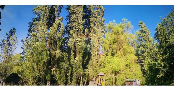 parcela-no-perimetral-en-condominio-venta-bajo--4