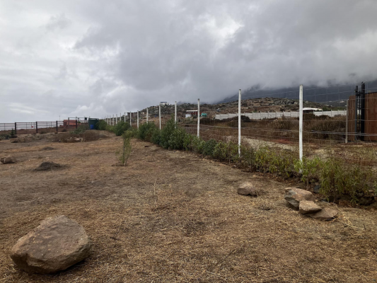 terreno-plano-5000-m2-arrayan-costero-con-vista-9