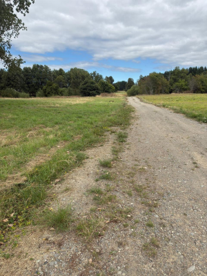 -13