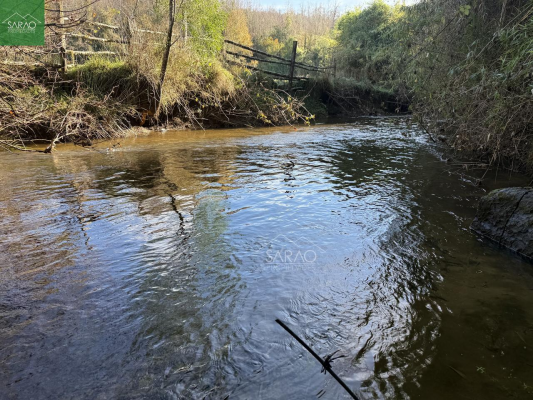 parcela-2-hectareas-con-orilla-rio-en-fresia-3