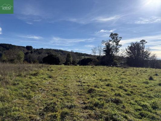 parcela-2-hectareas-con-orilla-rio-en-fresia-5