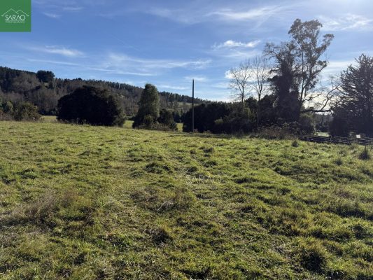 parcela-2-hectareas-con-orilla-rio-en-fresia-7