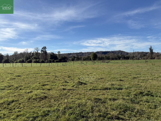 parcela-2-hectareas-con-orilla-rio-en-fresia-9