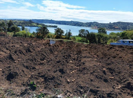 casa-en-2,6-ha-con-vista-al-mar,-quinchao---chiloe-7