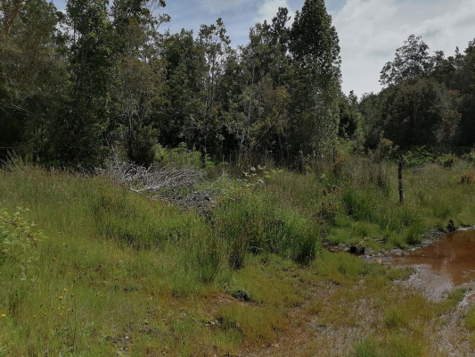 se-vende-hermoso-campo-agricola-los-muermos-4