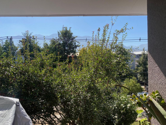 venta-lindo-departamento-3-dormitorios-1-bano-9