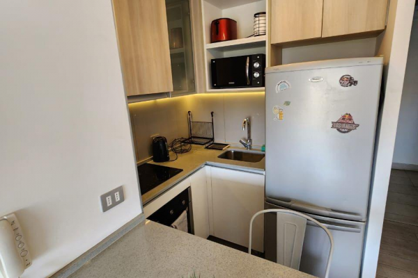 venta-departamento-1dormitorio-1-bano-costa-de--4