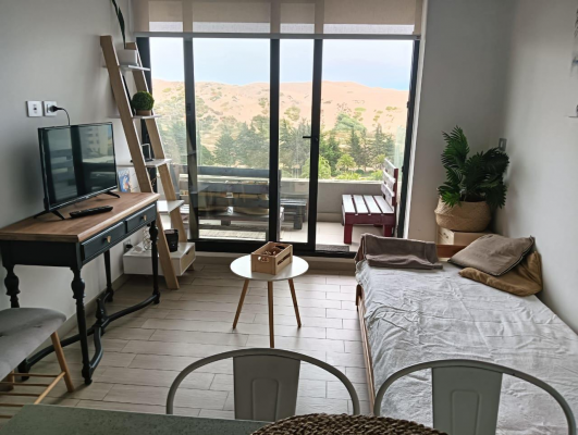 venta-departamento-1dormitorio-1-bano-costa-de--7