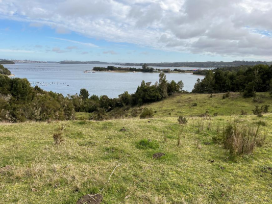lotes-con-acceso-a-playa-en-calbuco-isla-puluqui-8