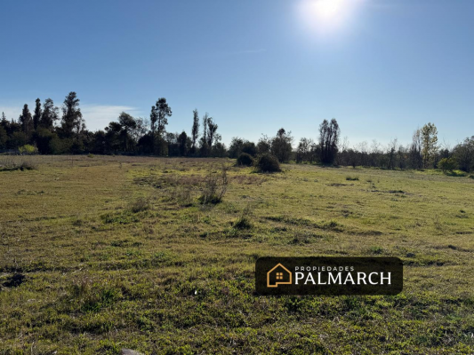 venta-parcela-camino-a-pinto-km-8,-chillan-7