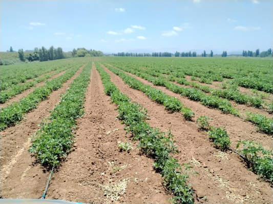 -10