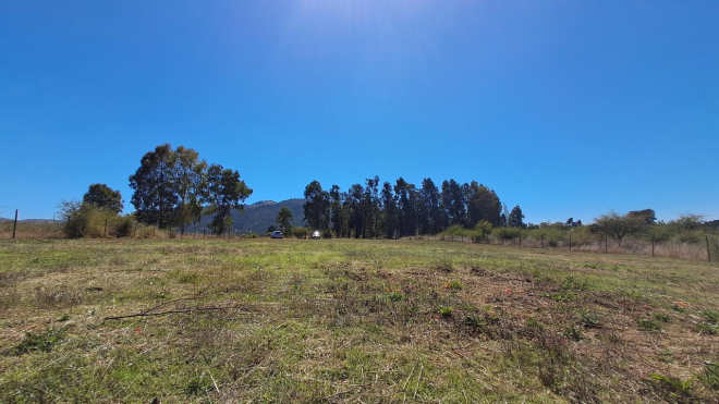 -11