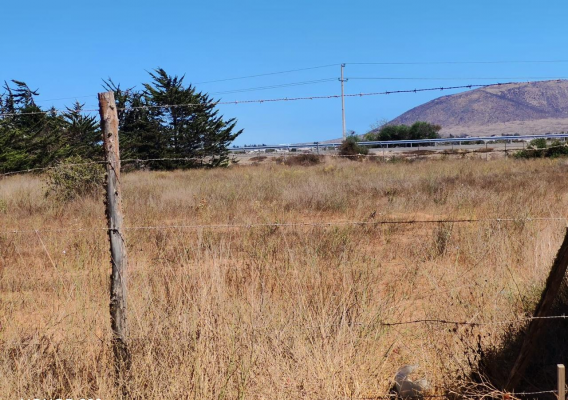 venta-terreno-5500-mts-orilla-ruta-5-tongoycil-3
