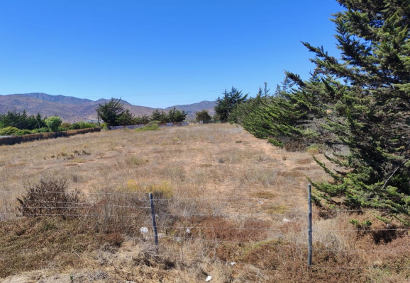 venta-terreno-5500-mts-orilla-ruta-5-tongoycil-7