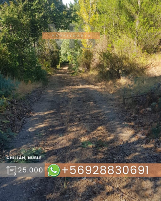 oportunidad-de-inversion-2,5-ha-a-25-minutos-de-5
