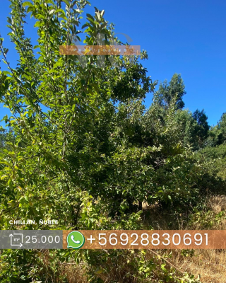 oportunidad-de-inversion-2,5-ha-a-25-minutos-de-7