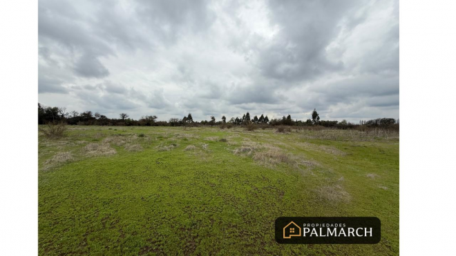 parcela-en-venta-sector-10000m2-talquita,-parral-4