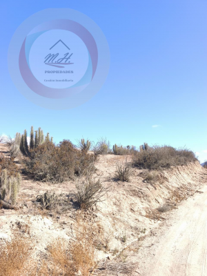 venta-de-parcela-a-10-minutos-de-la-serena-6