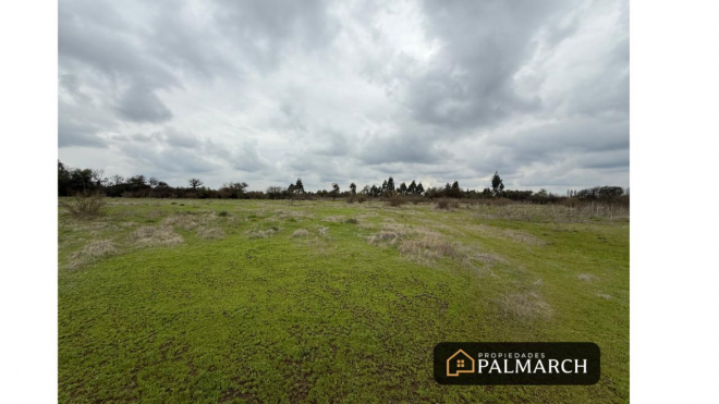 parcela-en-venta-sector-10000m2-talquita,-parral-3