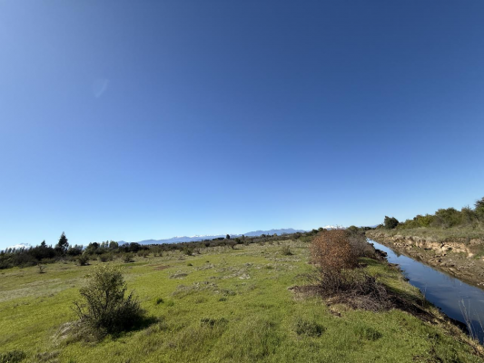 parcela-en-venta-sector-10000m2-talquita,-parral-6