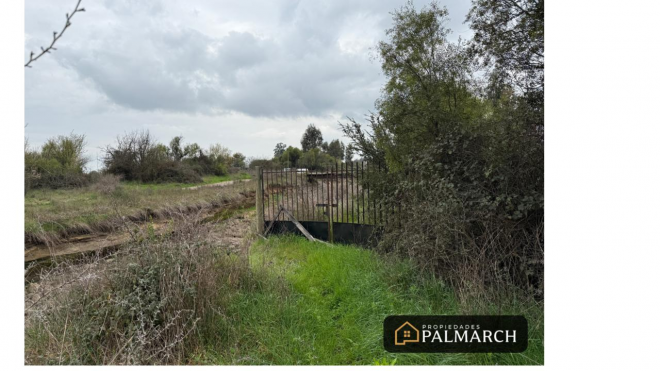 parcela-en-venta-sector-10000m2-talquita,-parral-8