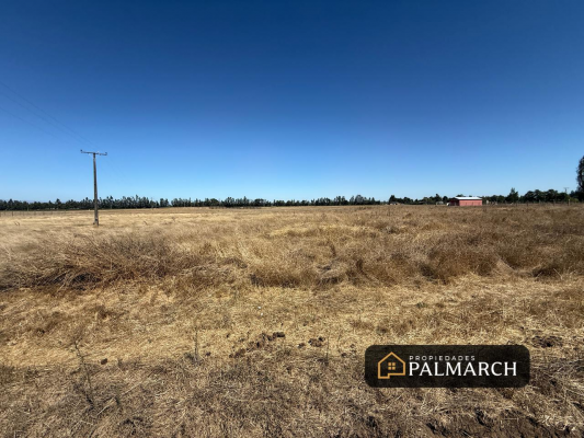 parcelas-en-venta-5000m2-camino-a-cato-chillan-7