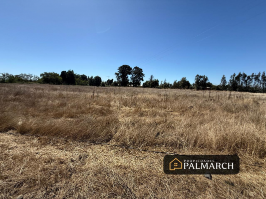 parcelas-en-venta-5000m2-camino-a-cato-chillan-8