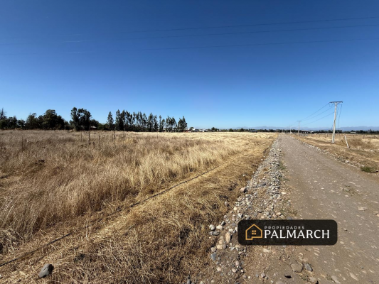 parcelas-en-venta-5000m2-camino-a-cato-chillan-9