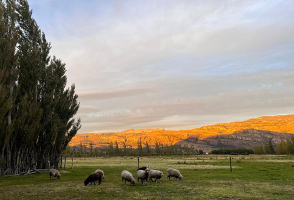 venta-parcela-refugio-lago-general-carrera-4