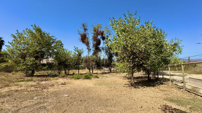 venta-de-amplio-terreno-centro-de-olmue-3