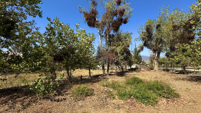 venta-de-amplio-terreno-centro-de-olmue-4