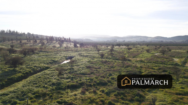parcelas-en-venta-en-ninhue-region-de-nuble-3