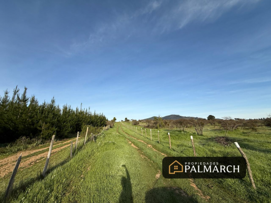 parcelas-en-venta-en-ninhue-region-de-nuble-4