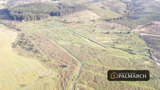 parcelas-en-venta-en-ninhue-region-de-nuble-5
