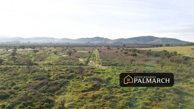 parcelas-en-venta-en-ninhue-region-de-nuble-7