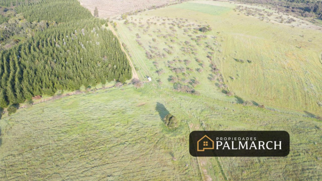 parcelas-en-venta-en-ninhue-region-de-nuble-8