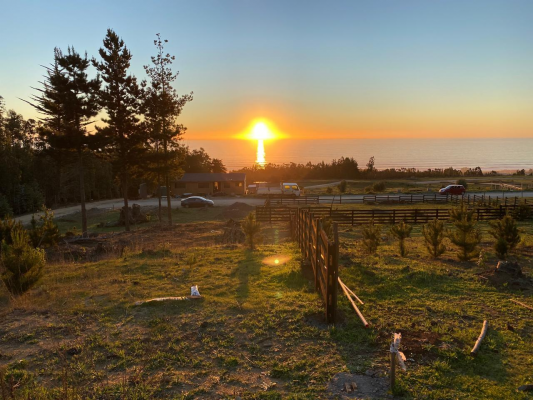 terreno-pichilemu-hermosa-vista-7