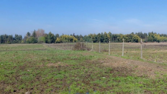 campo-agricola-en-venta,-propiedad-agricola-de--4
