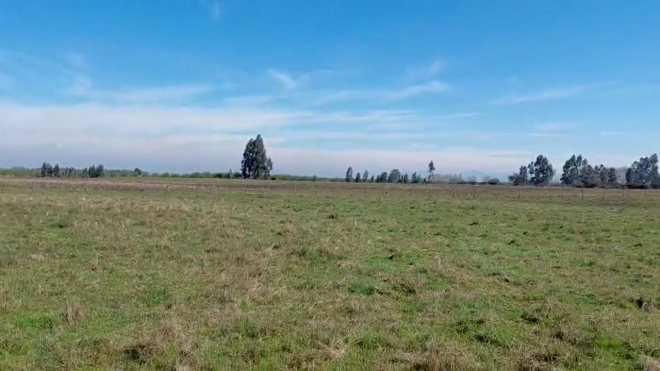 campo-agricola-en-venta,-propiedad-agricola-de--6