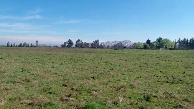 campo-agricola-en-venta,-propiedad-agricola-de--7